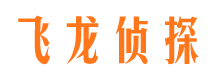 乃东市侦探公司